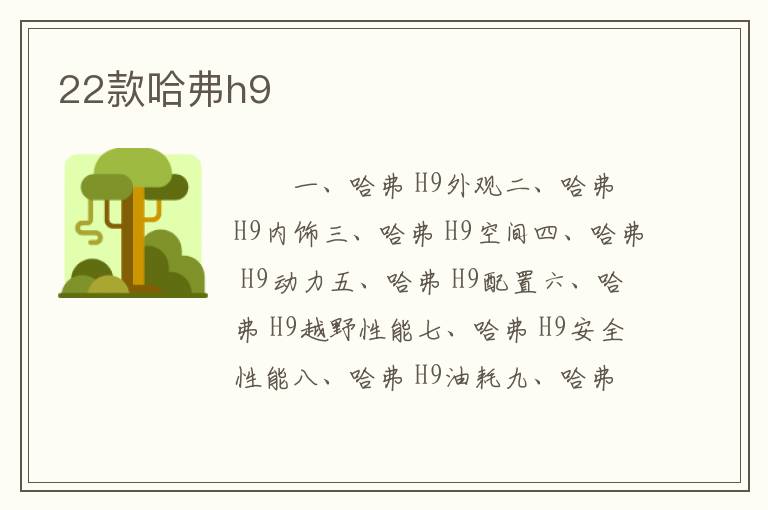 22款哈弗h9