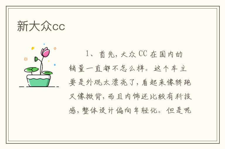 新大众cc